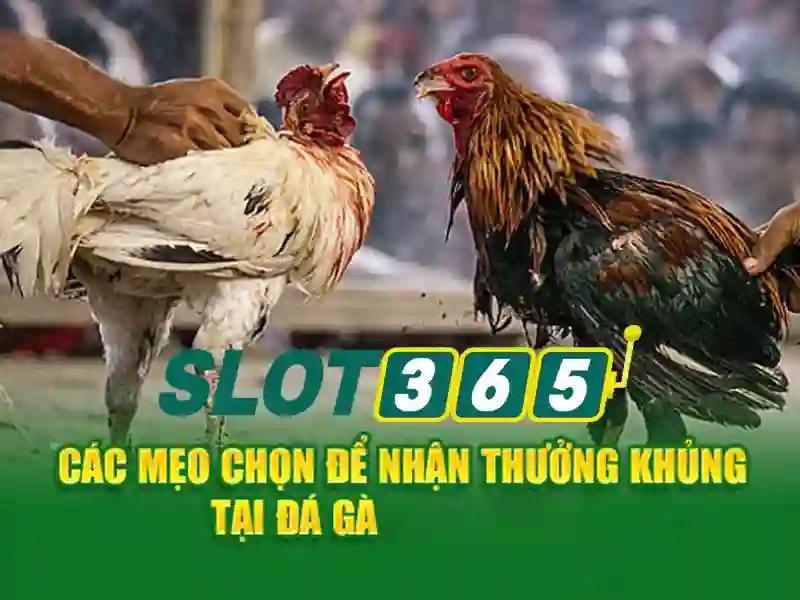 Trải Nghiệm Game Slot