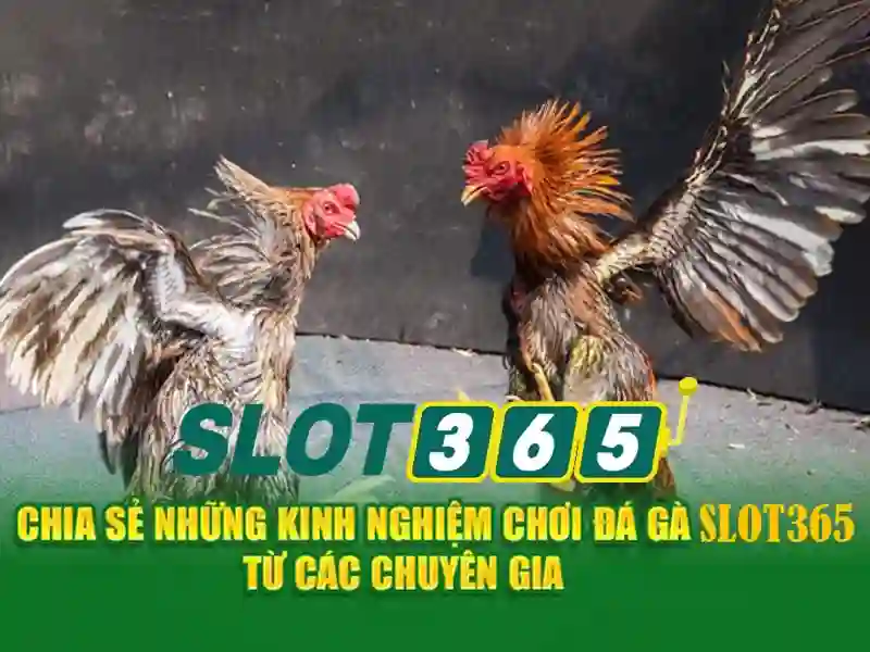 Phương Thức Nạp Tiền Slot365