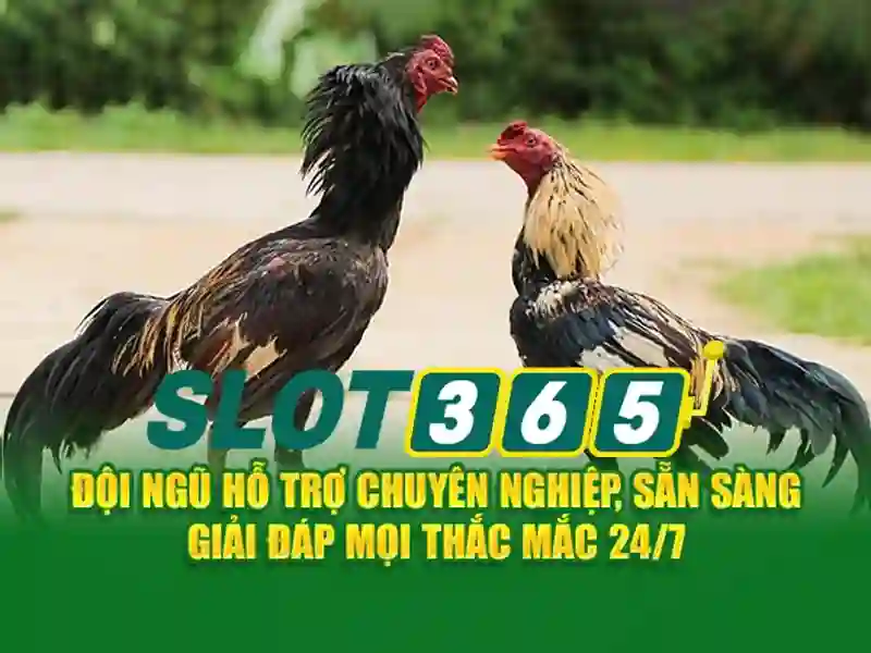 SLOT365 - Trải Nghiệm Cá Cược Online Uy Tín Hàng Đầu Việt Nam
