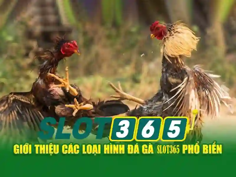 ưu đãi đặc biệt