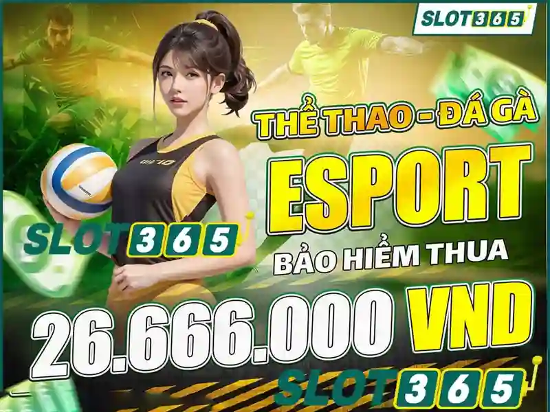 Đặc Điểm Nổi Bật