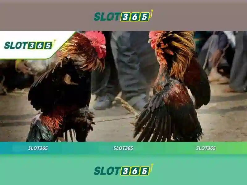Tại Sao Nên Chọn SLOT365