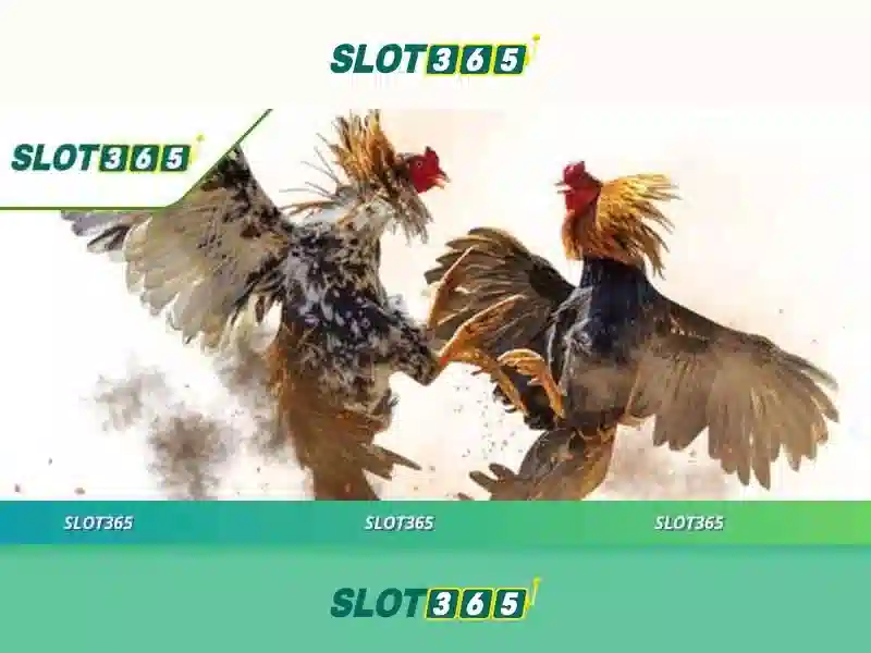 Ưu điểm của slot365 pulsa tanpa potongan