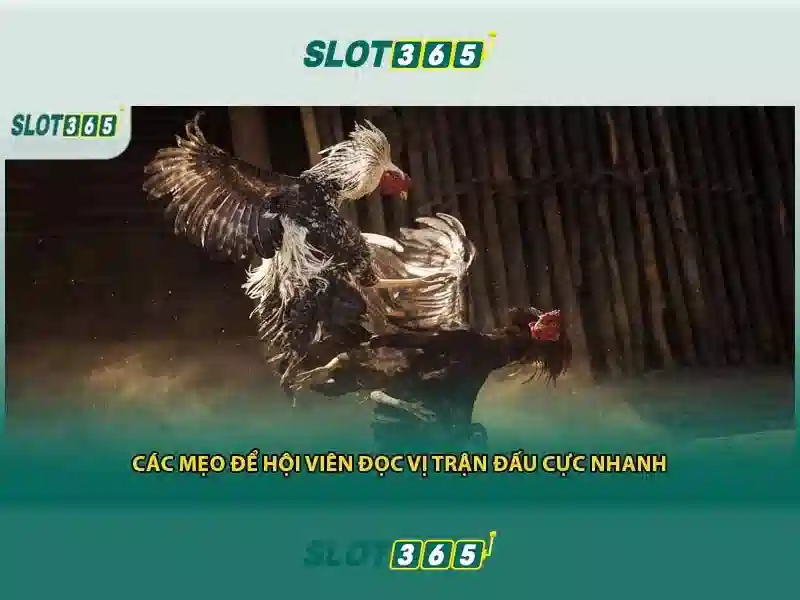 Slot365 Uy Tín