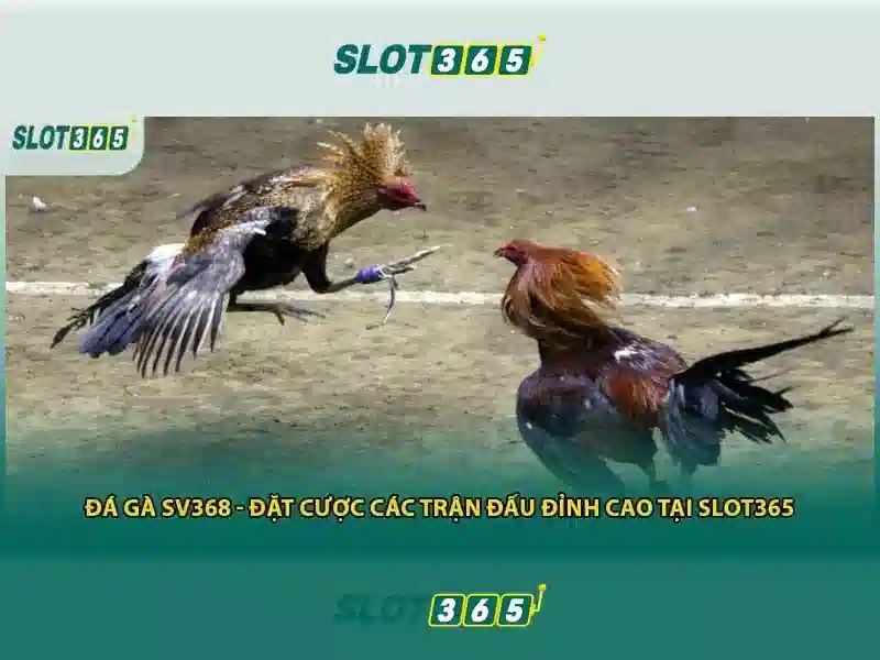SLOT365 - Trải Nghiệm Cá Cược Trực Tuyến Thú Vị, Nhận Thưởng Hấp Dẫn 2026