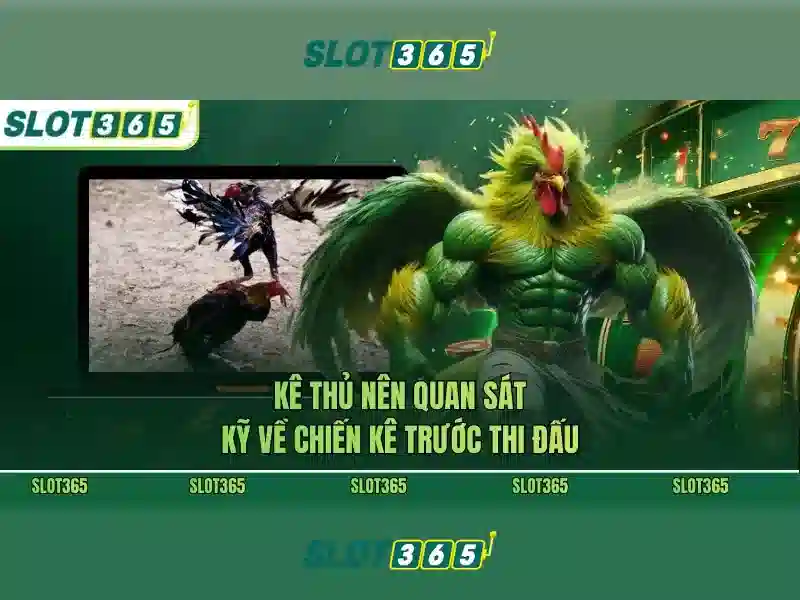 Game Slot Slot365