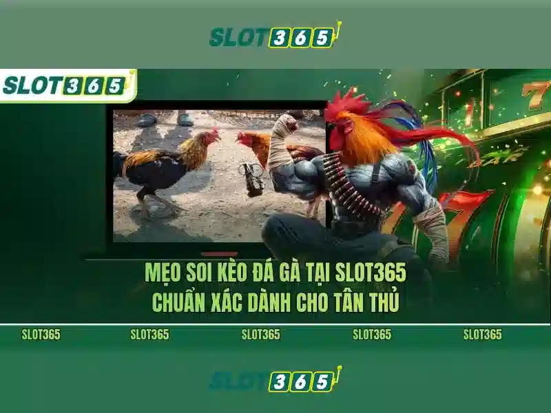 Khuyến Mãi Slot365