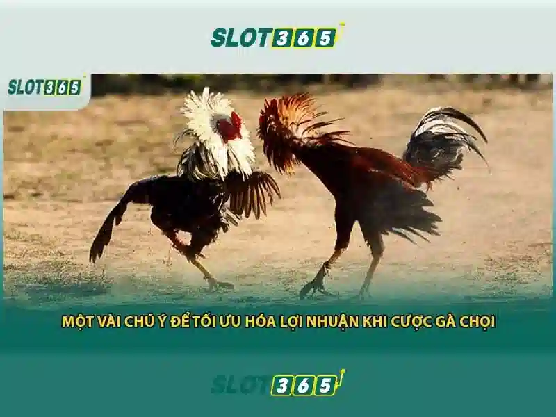 slot365 game