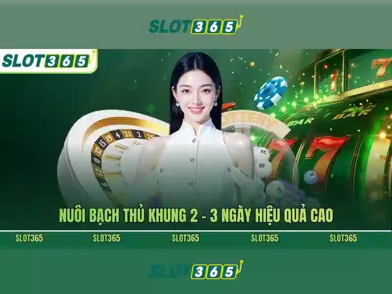 Tại Sao Nên Chọn SLOT365