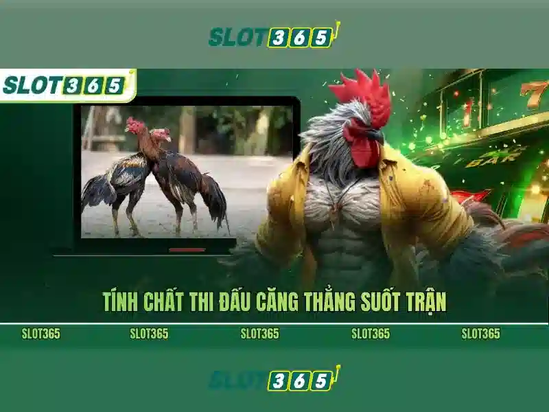 Cách Liên Hệ Với Trung Tâm Hỗ Trợ SLOT365