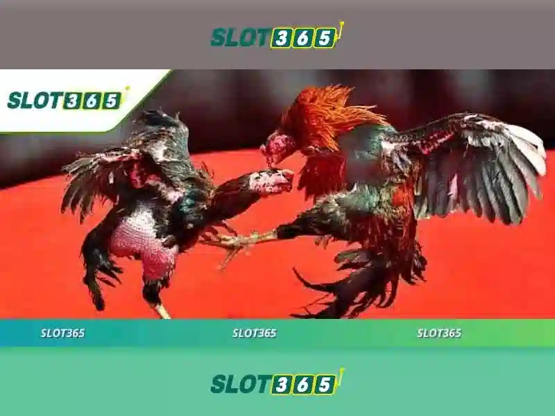SLOT365