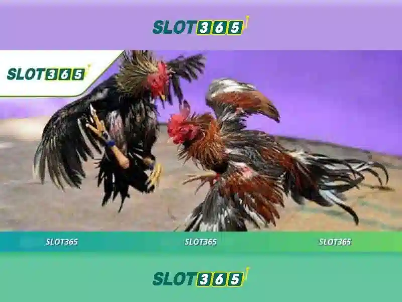 Giao diện tải app Slot365