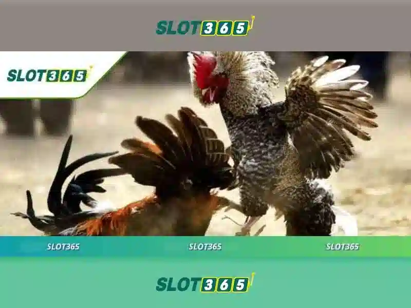 SLOT365 | Hướng Dẫn Đăng Nhập Slot365 Login Link Alternatif 2026