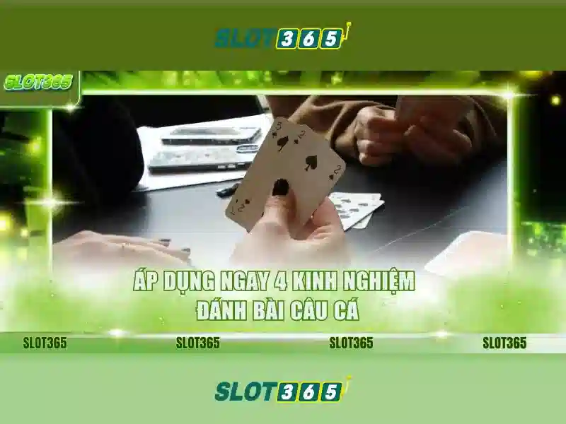 Slot365 an toàn không