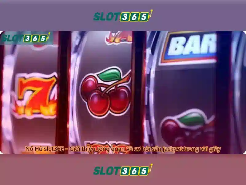 SLOT365 chính thức