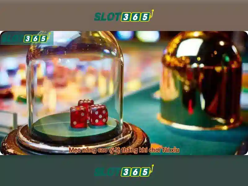 code Slot365 mới nhất