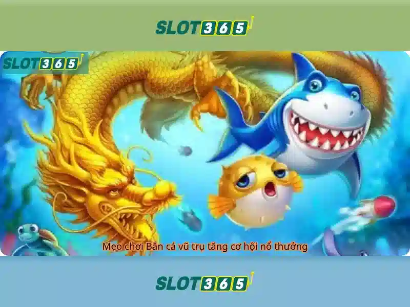 Thông tin SLOT365 - Trang Hướng Dẫn Sử Dụng Dành Cho Người Chơi SLOT