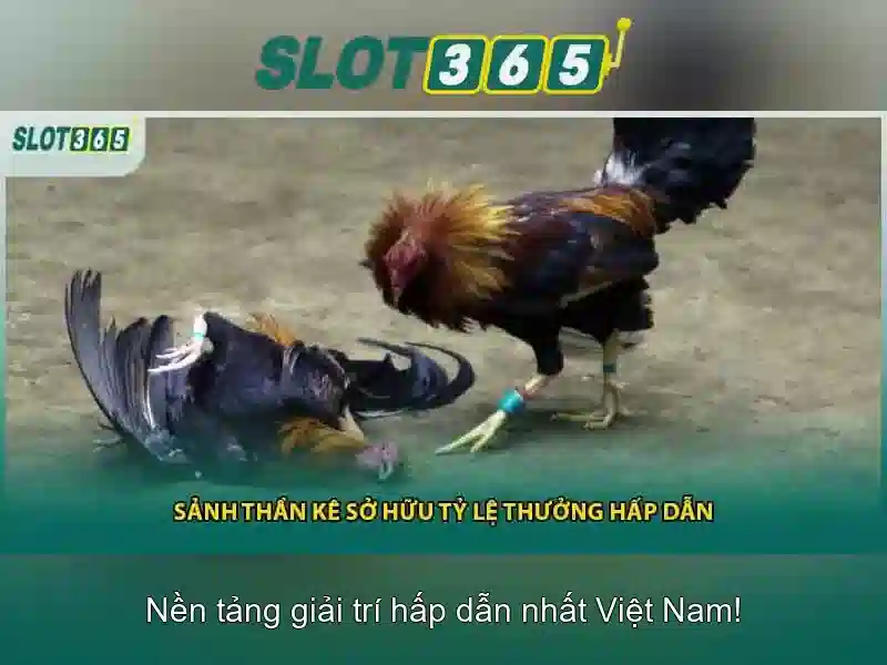 liên hệ SLOT365
