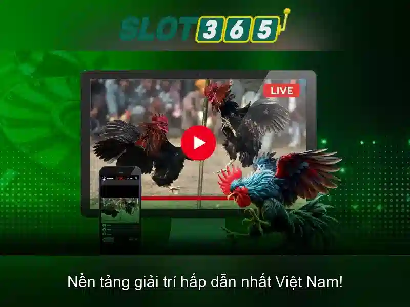 Hướng Dẫn Rút Tiền Slot 188V
