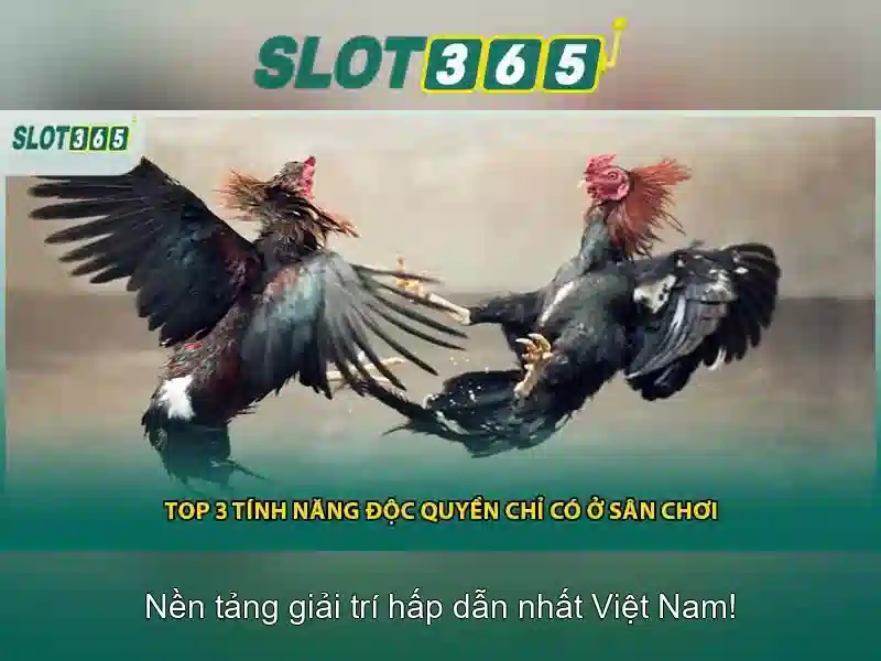 Trải Nghiệm Slot365