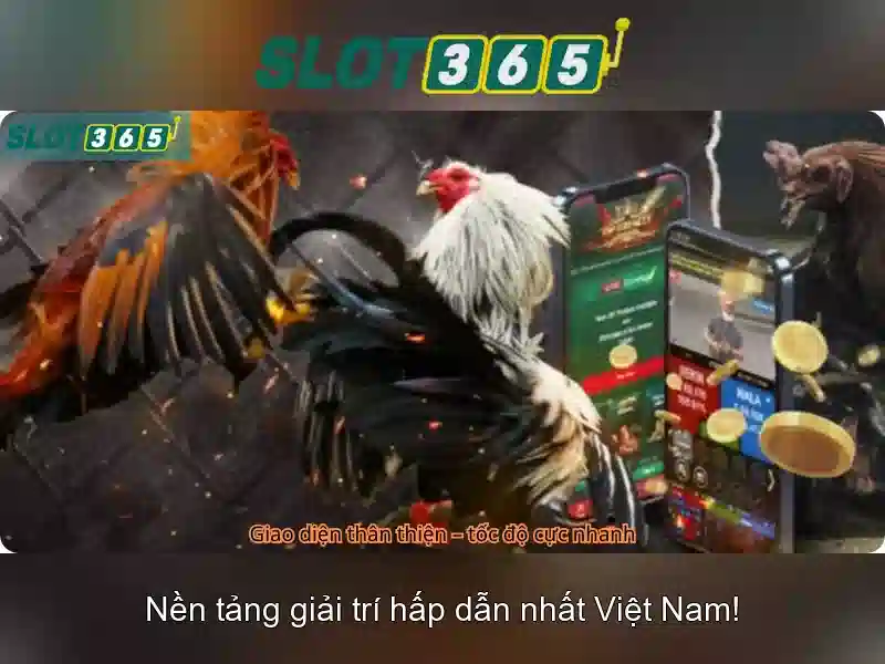 Ưu đãi Slot365