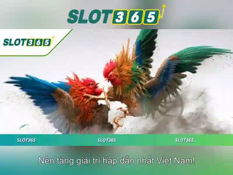 Thẻ Thành Viên Slot365