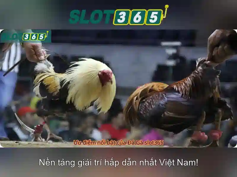 Slot365 Bet 2026