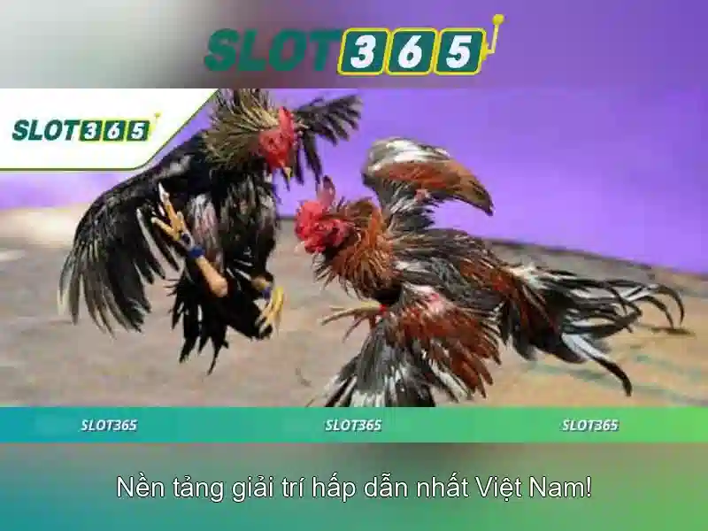 ưu đãi tải Slot365