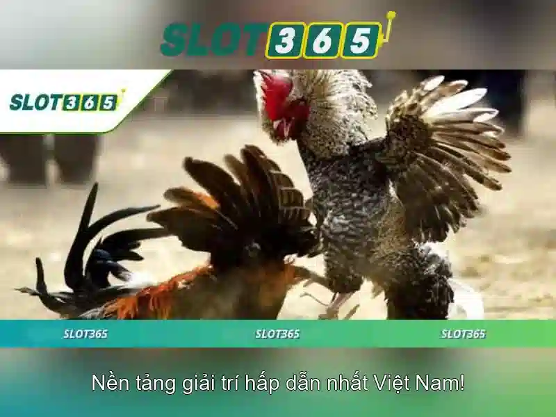 SLOT365 – RTP Slot365 Chính Hãng, Trải Nghiệm Slot Vượt Trội 2026