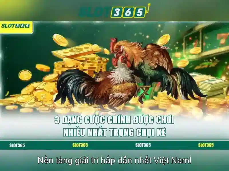 SLOT365 Thưởng Tảng 200k