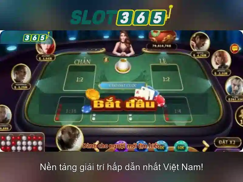 Tại Sao Nên Chọn Slot365