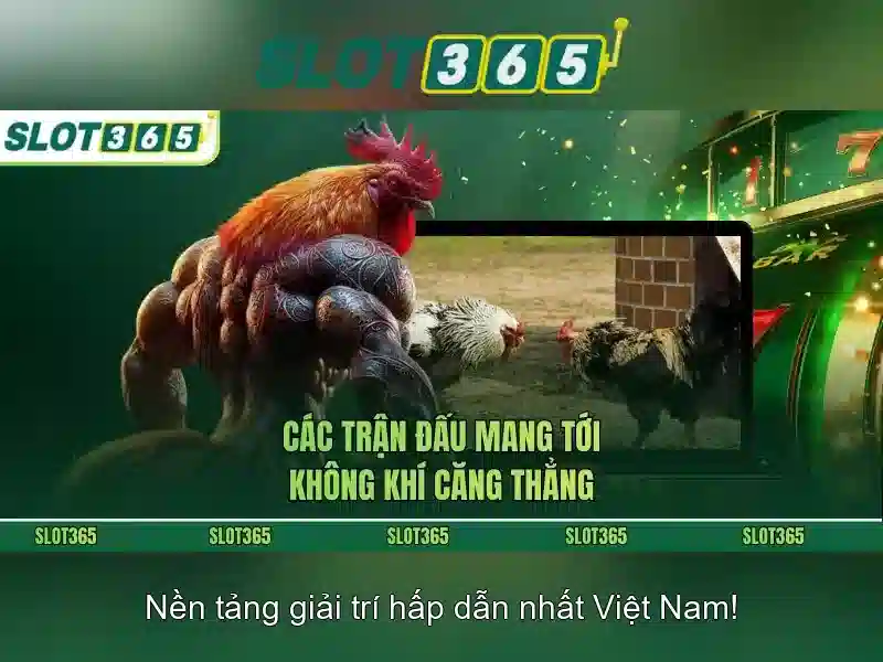 SLOT365