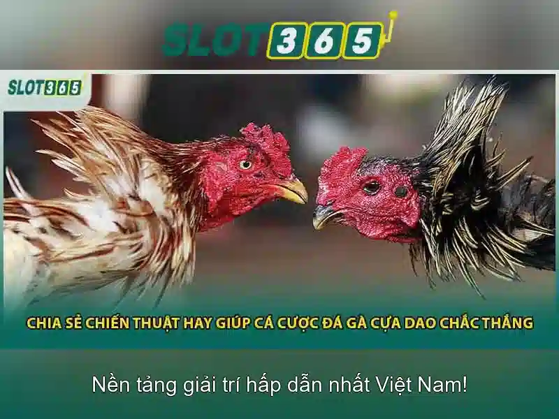 Trải nghiệm cá cược Slot365