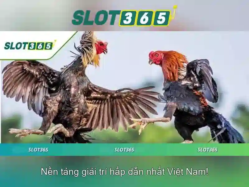 SLOT365 – slot365 login link Truy Cập Nhanh Không Bị Chặn 2026