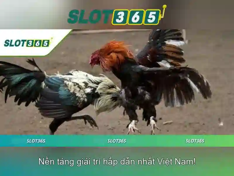 Bảo Mật Thông Tin Cá Nhân Trong Slot Game Slot365