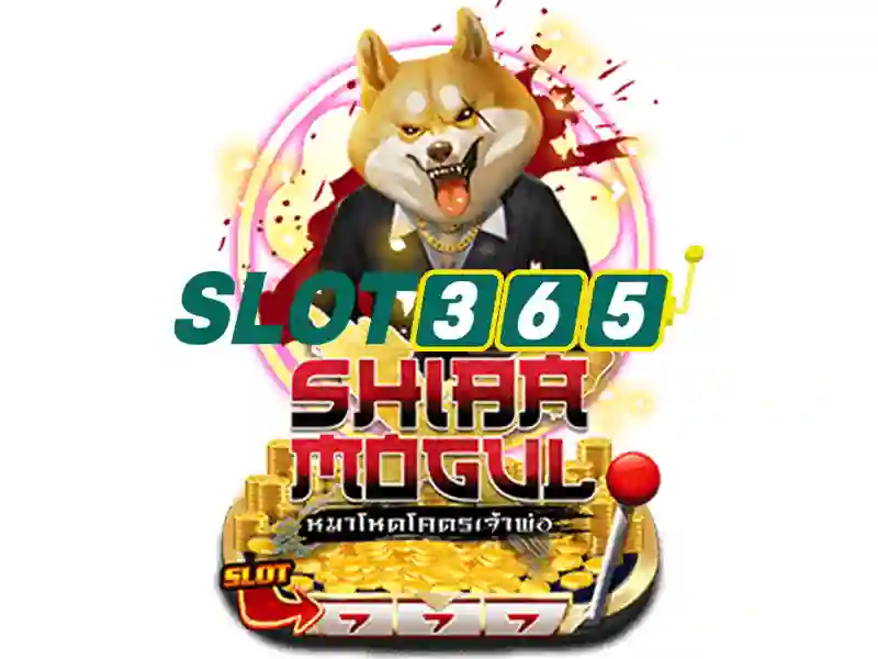 Quyền Lợi Người Chơi Slot365