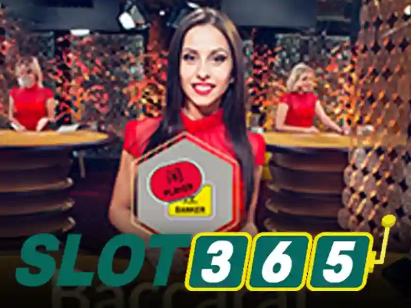 Tại Sao Chọn Hoki Slot365