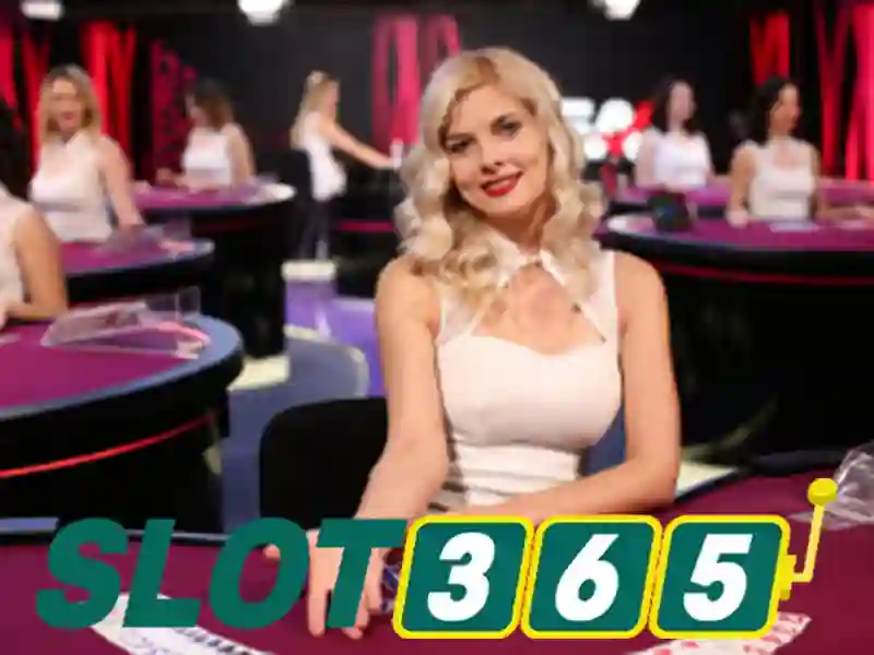 Tại Sao Nên Chọn Slot365