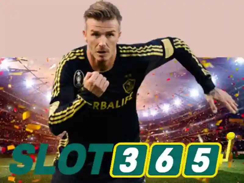 Hỗ trợ Slot365