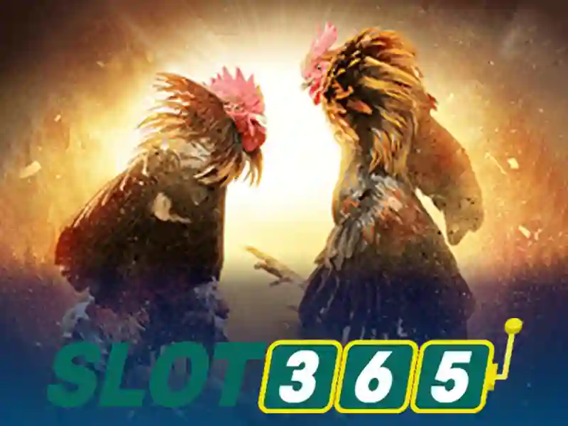 Ưu Điểm Nhà Cái Slot365